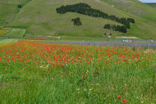 Road Book for Motorcycle Trips