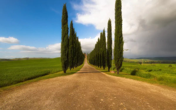 Explore the wonders of the heart of Italy on two wheels with us! Only for bikers girls