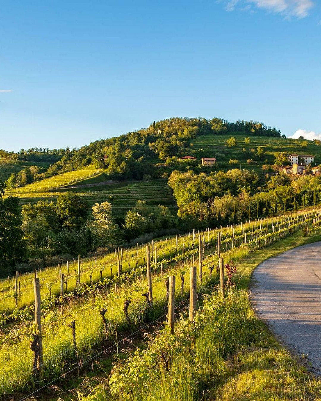 Langhe | April 2026