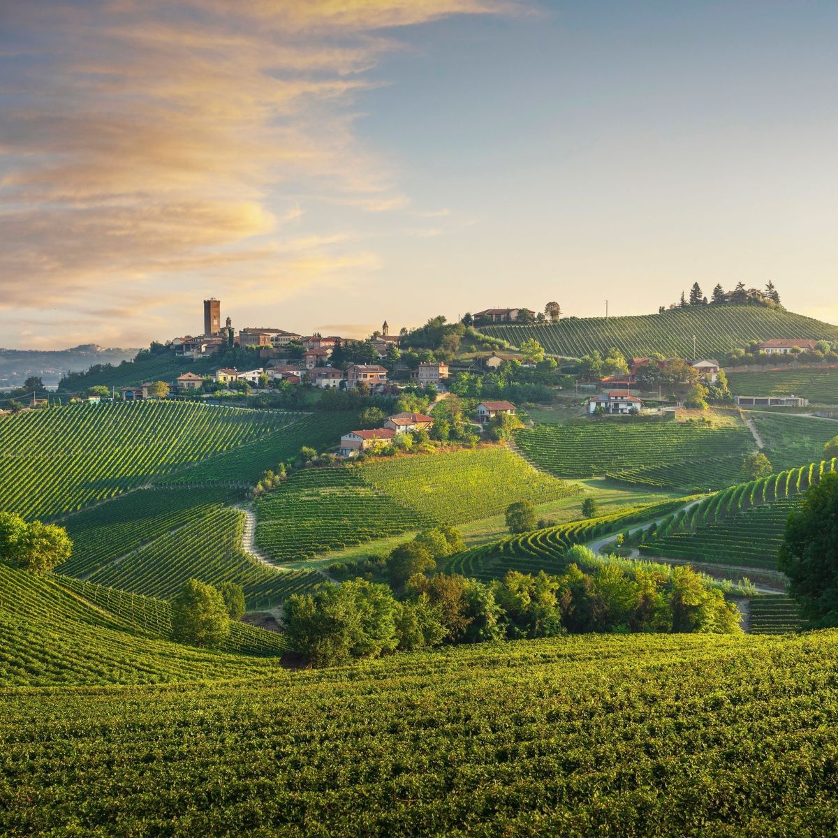 Langhe | April 2026