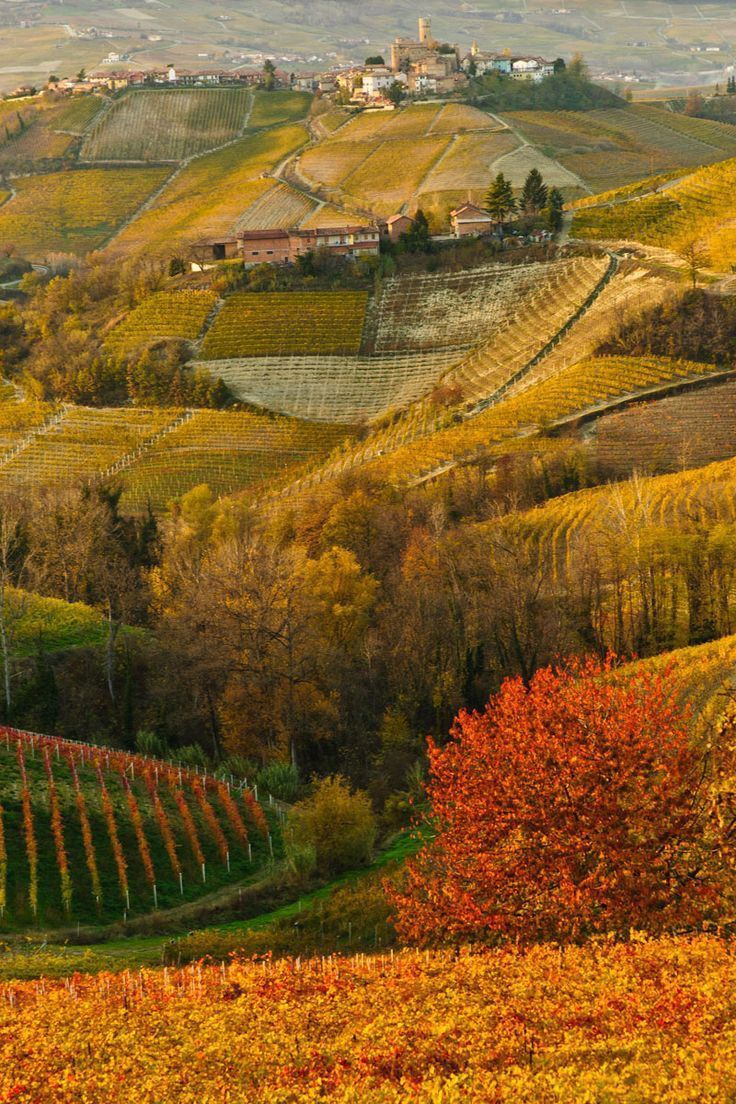 Langhe | April 2026