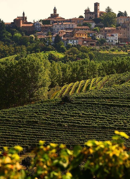 Langhe | April 2026